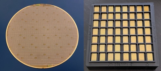 Skywater 网站的设计与开发 打造高效、直观的云端数据管理平台